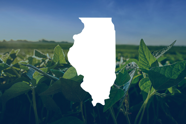Featured image for Stryax Application Requirements Summary PDF for Illinois