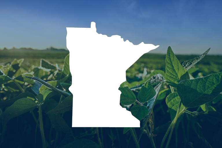 Featured image for Stryax Application Requirements summary PDF for Minnesota