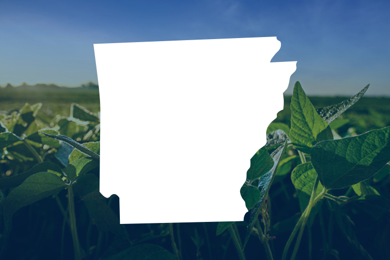 Featured image for Stryax Application Requirements Summary PDF for Arkansas