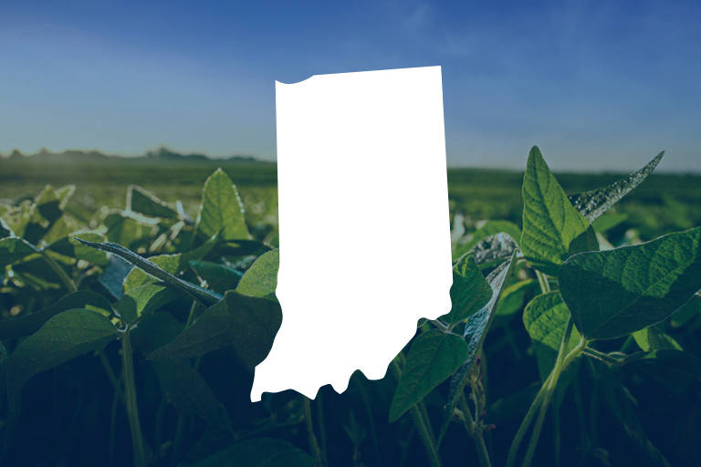 Featured image for Stryax Application Requirements summary PDF for Indiana