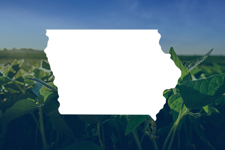 Featured image for Stryax Application Requirements summary PDF for Iowa