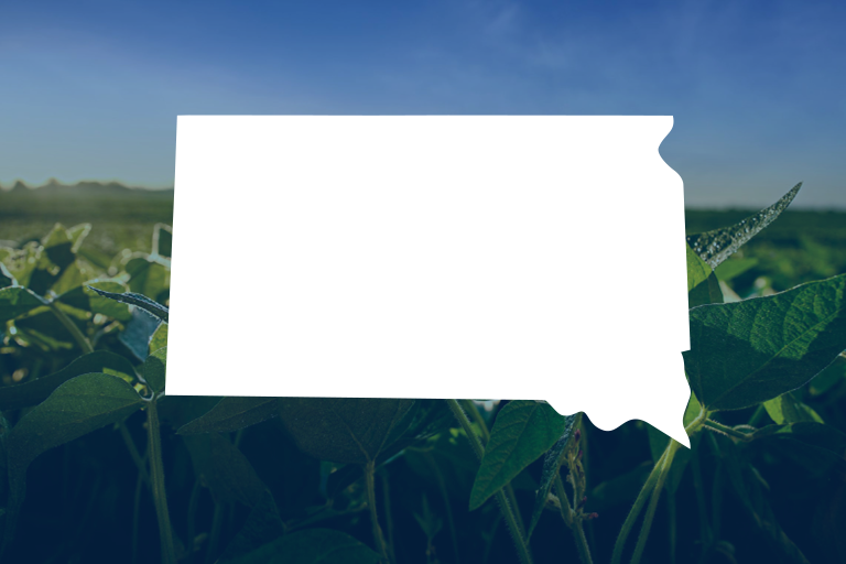 Featured image for Stryax Application Requirements summary PDF for South Dakota